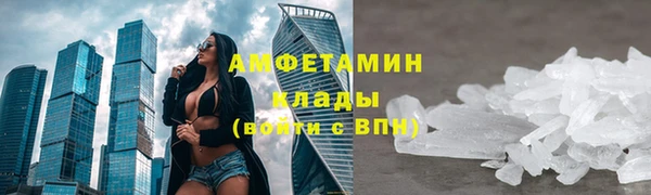 ГАЛЛЮЦИНОГЕННЫЕ ГРИБЫ Ельня